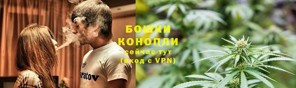 стаф Бугульма