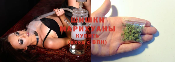 гашик Бронницы
