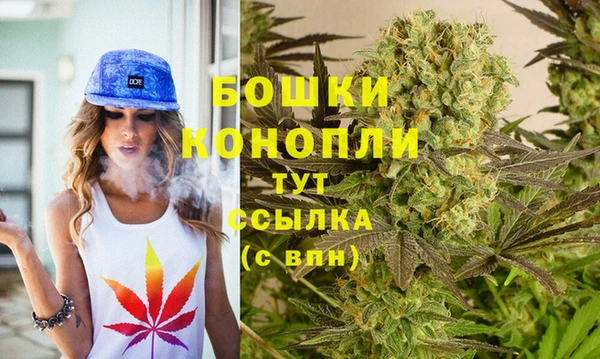 наркотики Бородино