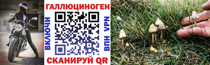 Псилоцибиновые грибы мицелий  Кирс 